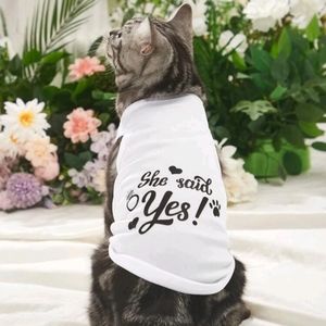 Engagement pet tank new small